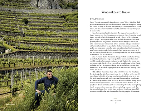 Vino: The Essential Guide to Real Italian Wine - Retail Maharaj