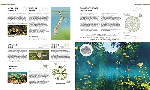 Habitats: Discover Earth's Precious Wild Places - Retail Maharaj