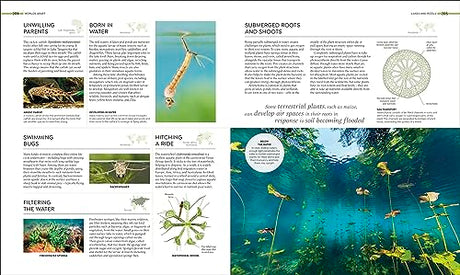 Habitats: Discover Earth's Precious Wild Places - Retail Maharaj