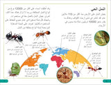 DK Super Readers Level 3 Ant Antics (Arabic translation) - Retail Maharaj