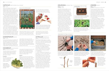 RHS Propagating Plants: How to Grow Plants for Free - Retail Maharaj