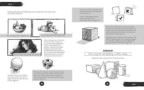 Learn to Draw in 5 Weeks: A Beginner's Workbook for All Ages - Retail Maharaj