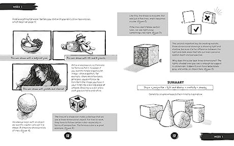 Learn to Draw in 5 Weeks: A Beginner's Workbook for All Ages - Retail Maharaj