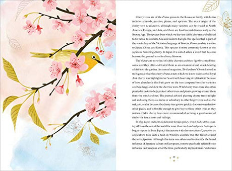 The Language of Flowers - Retail Maharaj