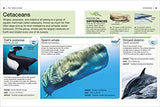 Ocean: Facts at Your Fingertips (Pocket Eyewitness) - Retail Maharaj