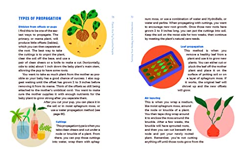 Plants Are My Favorite People: A Relationship Guide for Plants and Their Parents - Retail Maharaj