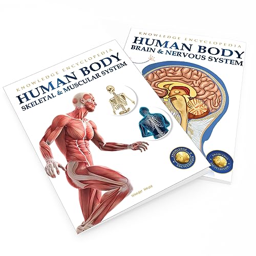 Human Body - Skeletal And Muscular System: Knowledge Encyclopedia For Children - Retail Maharaj
