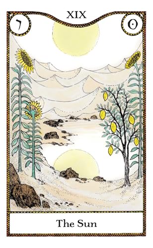 Elemental Power Tarot: Includes a full deck of 78 cards and a 64-page illustrated book - Retail Maharaj