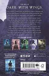 Rapture: Book 4 of the Fallen Series - Retail Maharaj