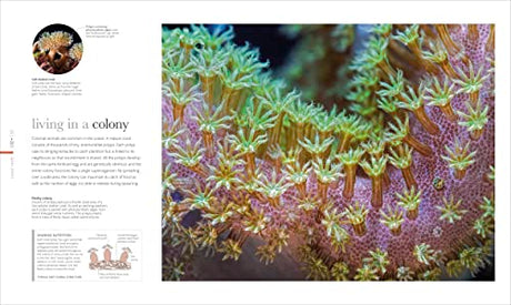 The Science of the Ocean: The Secrets of the Seas Revealed - Retail Maharaj