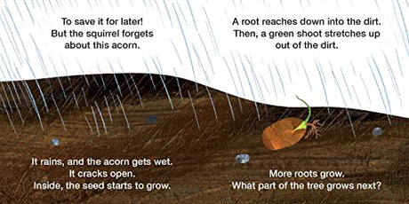 How Does a Seed Sprout?: Life Cycles with The Very Hungry Caterpillar - Retail Maharaj