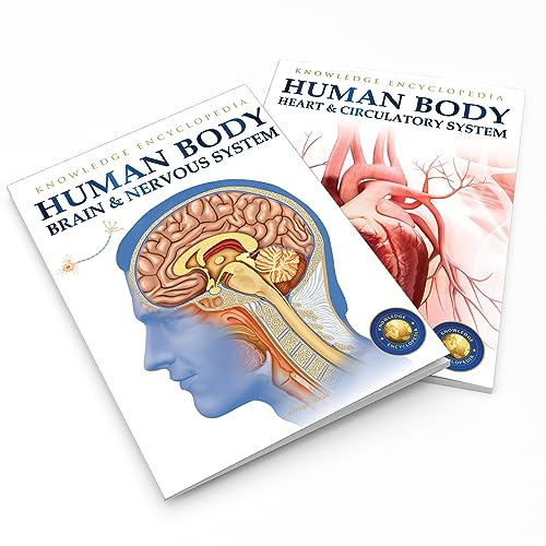 Human Body - Brain And Nervous System: Knowledge Encyclopedia For Children - Retail Maharaj