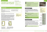 Lower Secondary Science Student’s Book: Stage 8 (Collins Cambridge Lower Secondary Science) - Retail Maharaj