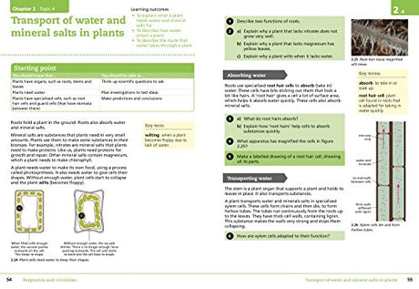 Lower Secondary Science Student’s Book: Stage 8 (Collins Cambridge Lower Secondary Science) - Retail Maharaj