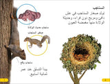 DK Super Readers Level 2 Wild Baby Animals (Arabic translation) - Retail Maharaj