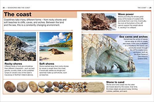 Ocean: Facts at Your Fingertips (Pocket Eyewitness) - Retail Maharaj