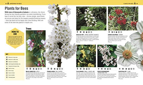 The Bee Book: The Wonder of Bees – How to Protect them – Beekeeping Know-how - Retail Maharaj