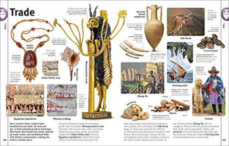 Our World in Pictures: An Encyclopedia of Everything - Retail Maharaj