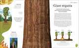 The Secret World of Plants: Tales of More Than 100 Remarkable Flowers, Trees, and Seeds - Retail Maharaj