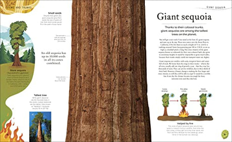 The Secret World of Plants: Tales of More Than 100 Remarkable Flowers, Trees, and Seeds - Retail Maharaj