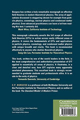 Introduction to Effective Field Theory: Thinking Effectively about Hierarchies of Scale - Retail Maharaj