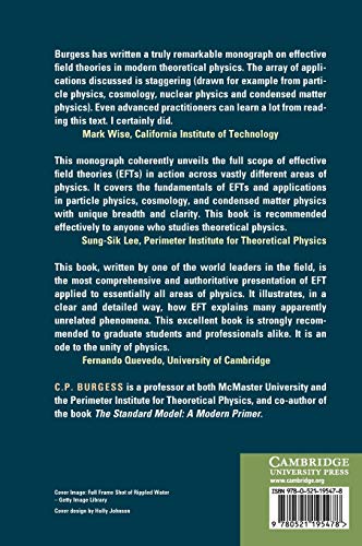 Introduction to Effective Field Theory: Thinking Effectively about Hierarchies of Scale - Retail Maharaj