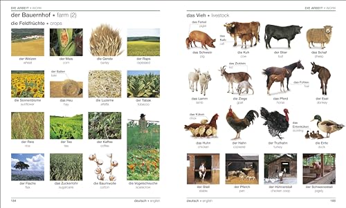 German English Bilingual Visual Dictionary - Retail Maharaj