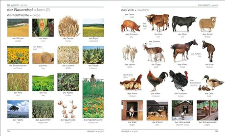 German English Bilingual Visual Dictionary - Retail Maharaj