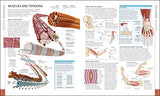 The Human Body Book - Retail Maharaj