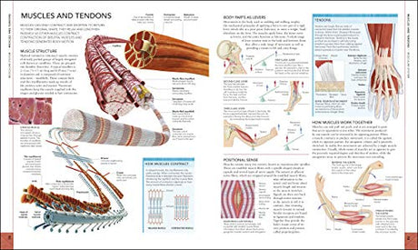 The Human Body Book - Retail Maharaj