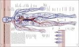 The Human Body Book - Retail Maharaj
