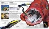Knowledge Encyclopedia: Ocean! Our Watery World As You've Never Seen It Before - Retail Maharaj