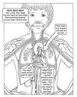 My First Human Body Book - Retail Maharaj