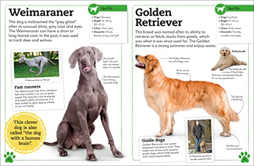 My Book of Dogs and Puppies: A Fact-Filled Guide to Your Canine Friends - Retail Maharaj