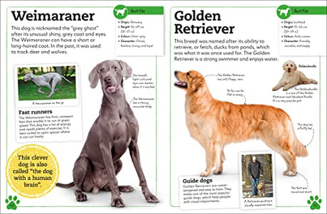 My Book of Dogs and Puppies: A Fact-Filled Guide to Your Canine Friends - Retail Maharaj