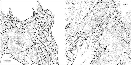 Avatar Colouring Book - Retail Maharaj