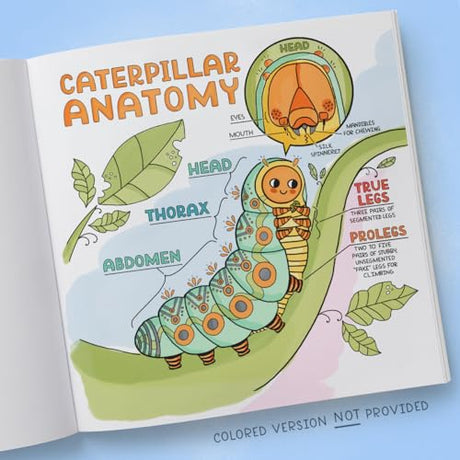 What's Inside a Garden?: Science and Nature Coloring Book: 40 Drawings to Color - Retail Maharaj