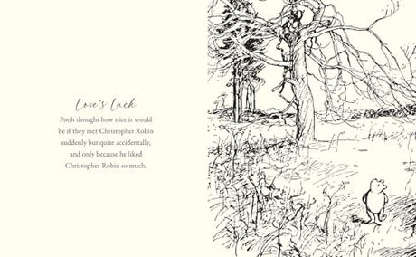 Winnie-the-pooh: Love from Pooh - Retail Maharaj