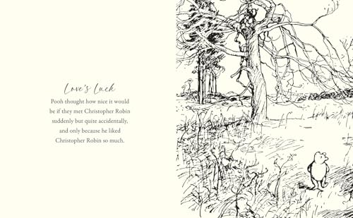 Winnie-the-pooh: Love from Pooh - Retail Maharaj