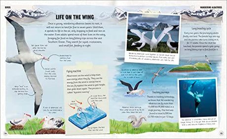 Amazing Animal Journeys: The Most Incredible Migrations in the Natural World - Retail Maharaj