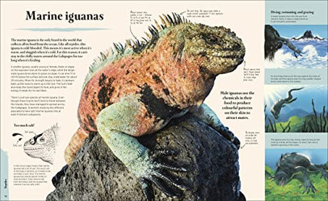 Galapagos - Retail Maharaj