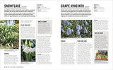 Grow Bulbs: Essential Know-how and Expert Advice for Gardening Success - Retail Maharaj