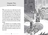 Ada Lace Gets Famous: Volume 6 (Ada Lace Adventures, 6) - Retail Maharaj