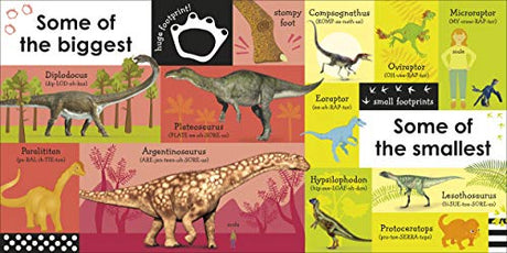 100 First Dinosaur Words - Retail Maharaj