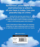 God'S Little Book Of Peace - Retail Maharaj