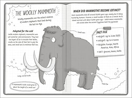 The Secret Explorers and the Ice Age Adventure - Retail Maharaj