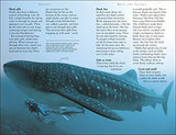 Sharks: Riveting Reads for Curious Kids (Mega Bites) - Retail Maharaj