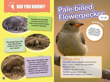 INDIA’S TINIEST ANIMALS : Wild About India - Engaging Book for Kids (Ages 5-15) - Fun Facts, Trivia Questions and Answers to Teach Your Children about the Animal Kingdom - Retail Maharaj