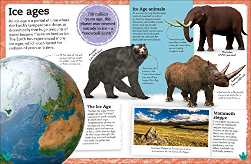 My Book of Dinosaurs and Prehistoric Life: Animals and plants to amaze, surprise, and astonish! - Retail Maharaj