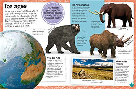 My Book of Dinosaurs and Prehistoric Life: Animals and plants to amaze, surprise, and astonish! - Retail Maharaj